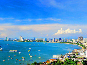 董事、高级管理人员和代表