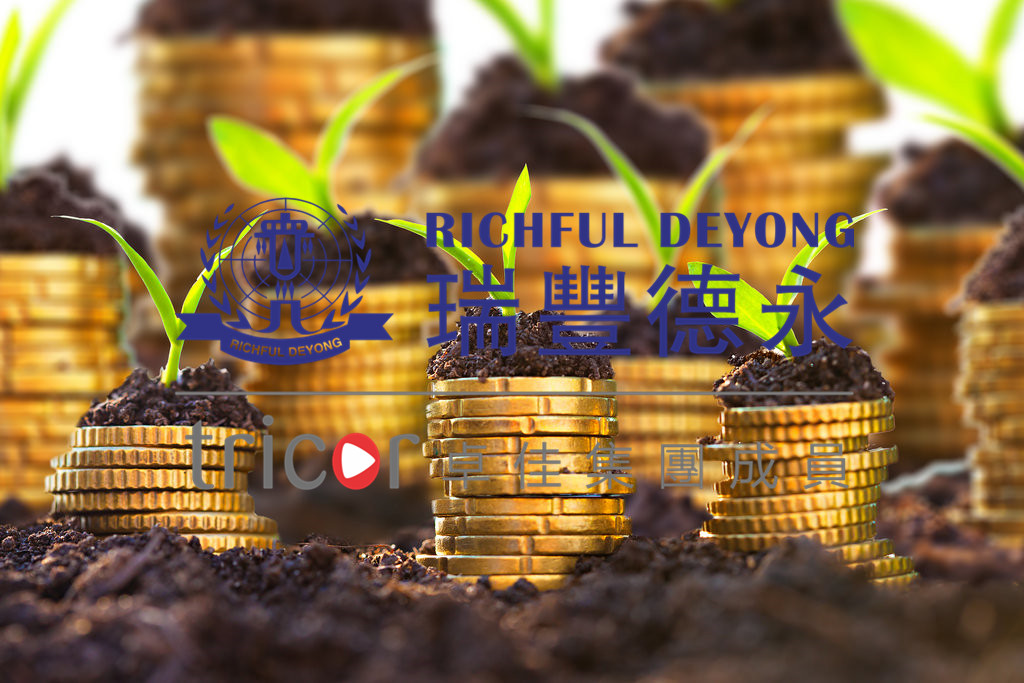 区块链和基金会的管理