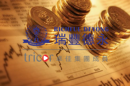 荷兰公司类型